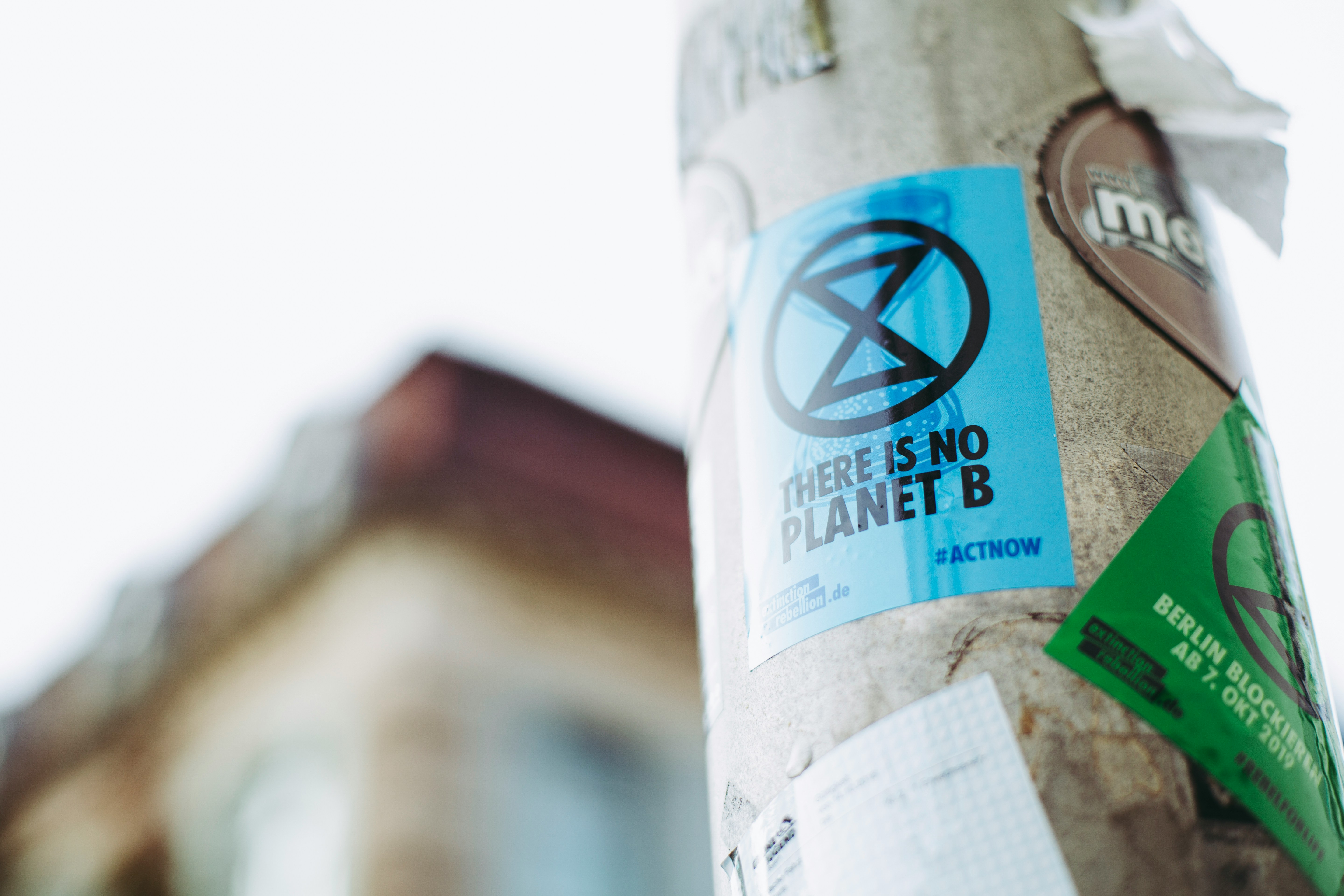 Sticker reading “There is no Planet B” on a city lamppost, symbolising environmental activism and climate urgency — perfect for articles on 1080 poison, wildlife protection, and ethical land management. Photo by Markus Spiske.