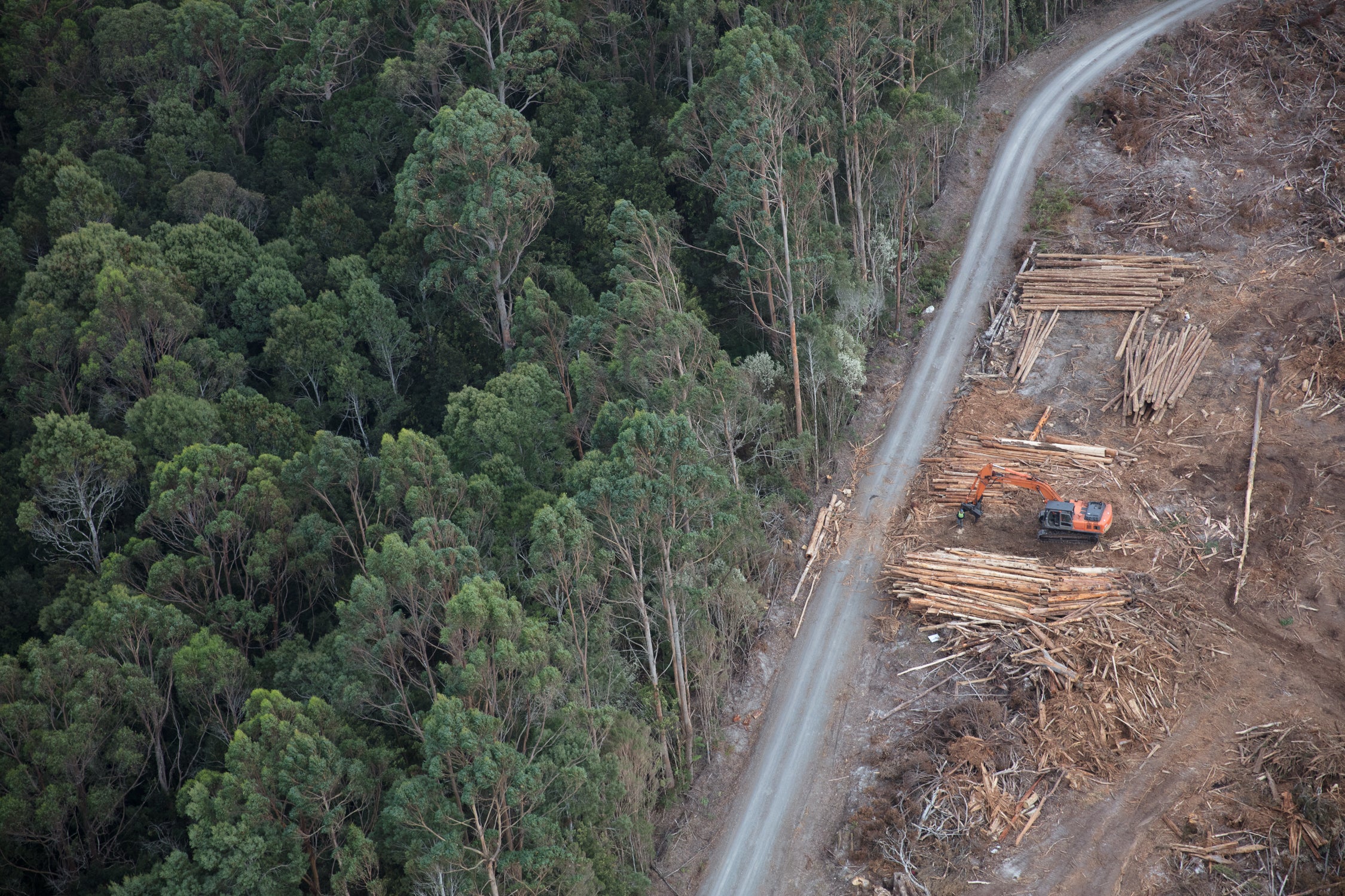 Aerial photo showing a line between intact Tasmanian forest and a recently logged coupe with machinery and stacked logs.