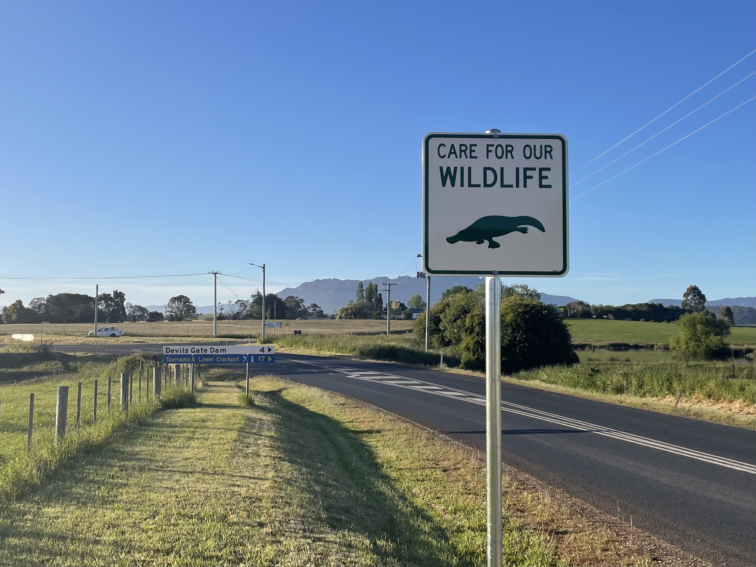 A roadside sign in Tasmania reading “Care for our wildlife”, photographed along a rural road at sunset.
