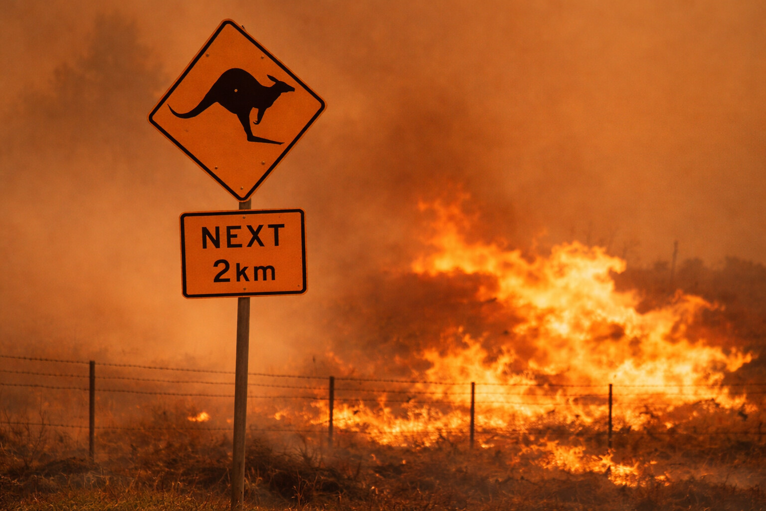 Kangaroo road warning sign standing in front of an active bushfire in rural Australia